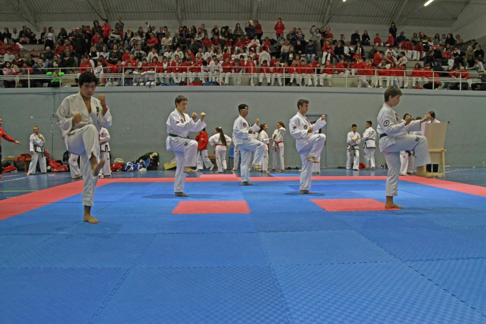 III Copa Seúl (180).jpg